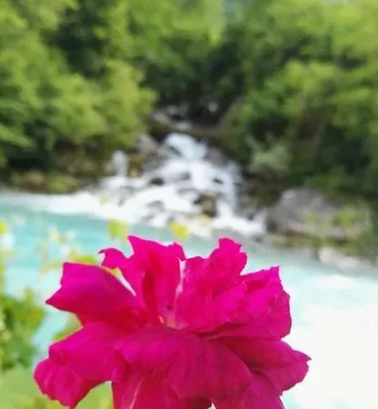 Bujtina Sofra Dardane * Tropoje